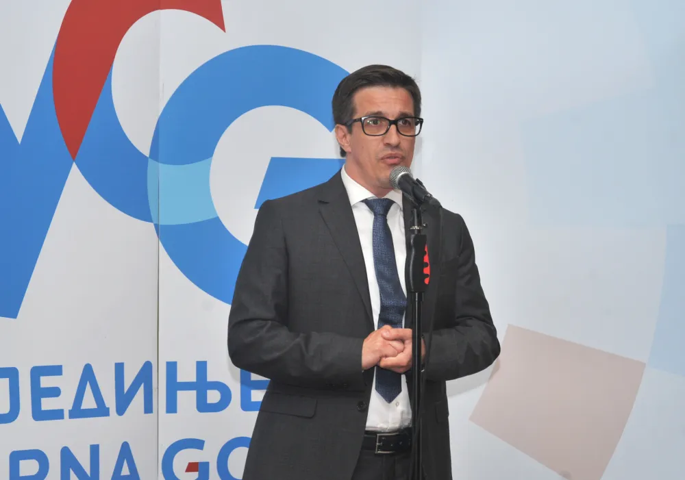 Vladimir Dobričanin