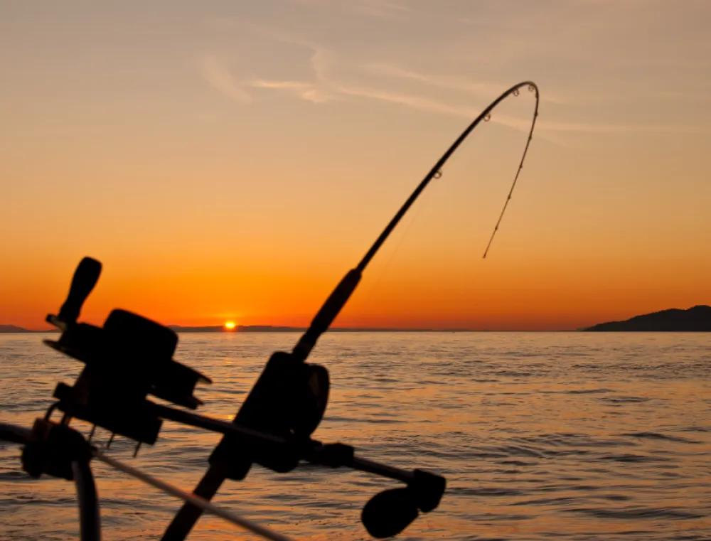 Zbog nelegalnog ribolova procesuirane črtiri osobe