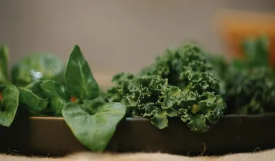 &Scaron;ta je zdravije, kelj ili spanać? Eksperti rje&scaron;avaju dilemu