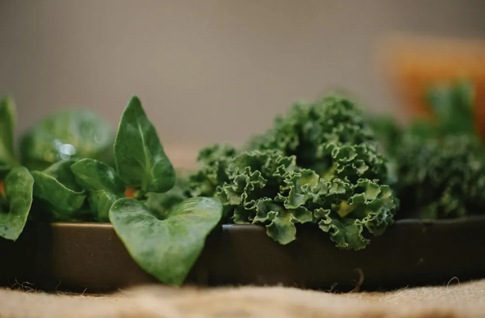 &Scaron;ta je zdravije, kelj ili spanać? Eksperti rje&scaron;avaju dilemu