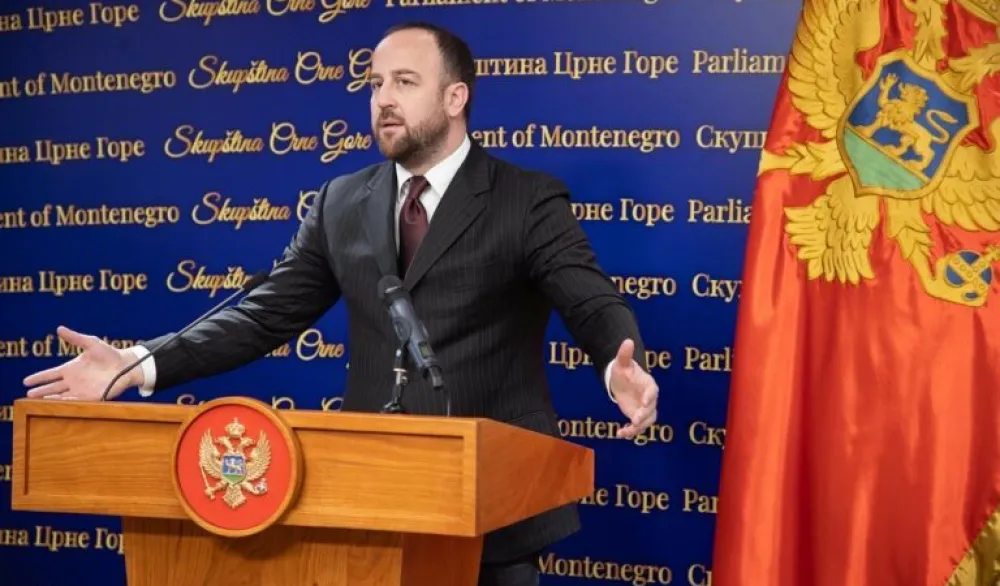 Nikolić: Odbili smo poziv Mandića, on je glavni inicijator ustavnog puča