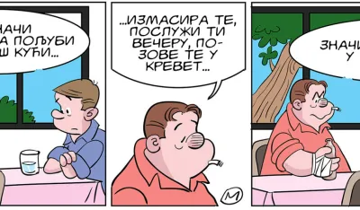 Mirko Zulić strip Dana