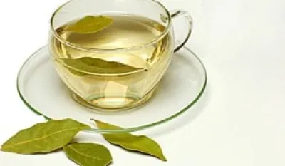 Sve blagodeti lovorovog lista: Umiruje ka&scaron;alj, pomaže kod bronhitisa