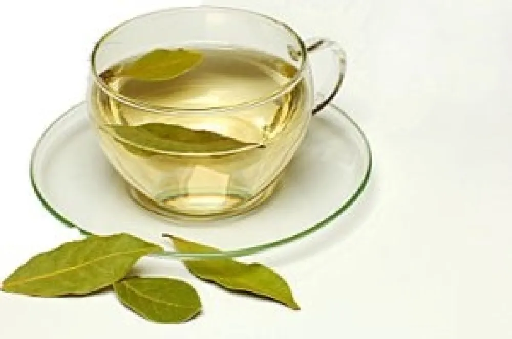 Sve blagodeti lovorovog lista: Umiruje ka&scaron;alj, pomaže kod bronhitisa