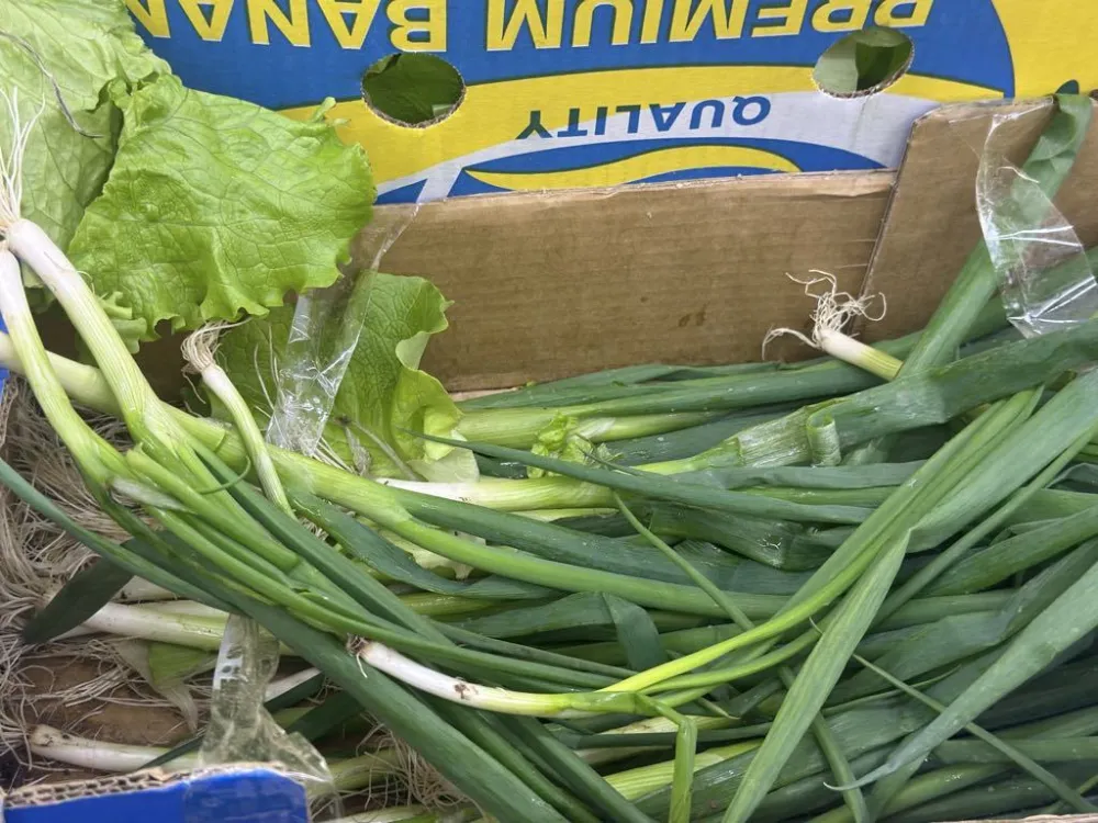 ​Kilogram mladog luka pet eura