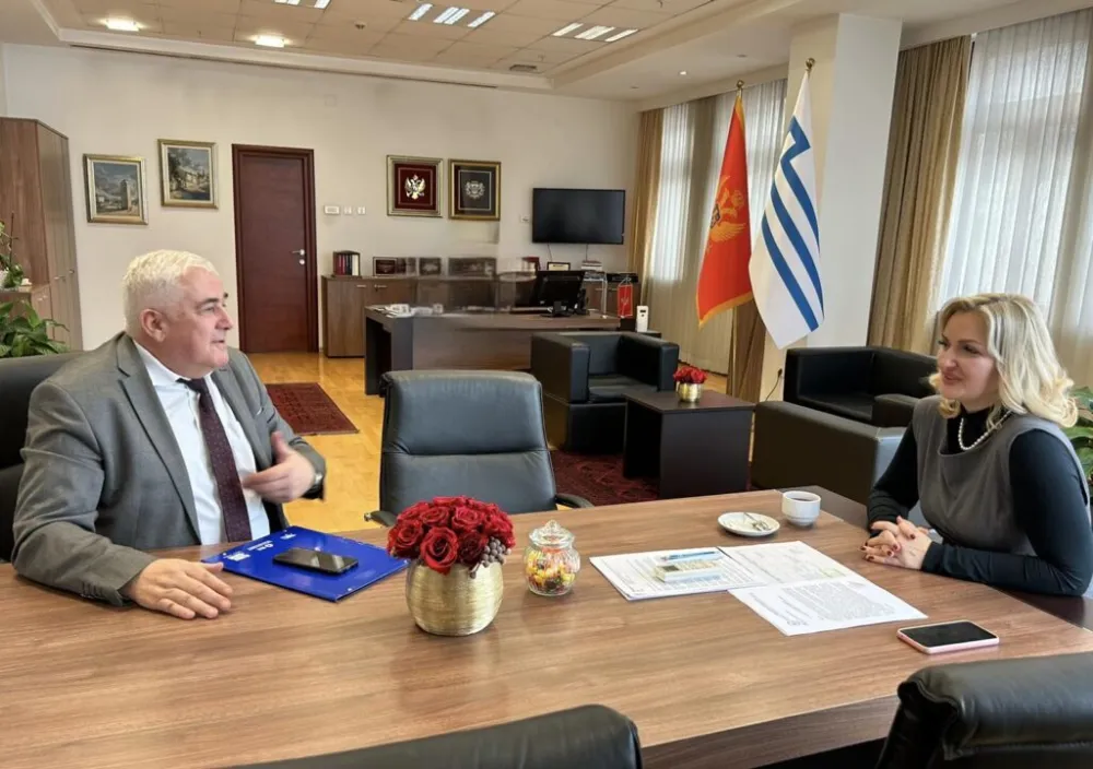 Zarubica i Borovinić Bojović 
