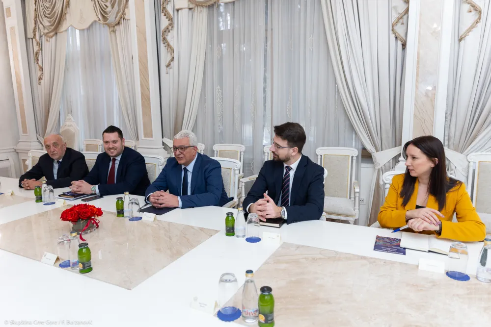 Mandić sa &Scaron;arecom: Kroz dijalog pronaći rje&scaron;enje za aktuelnu situaciju u Parlamentu