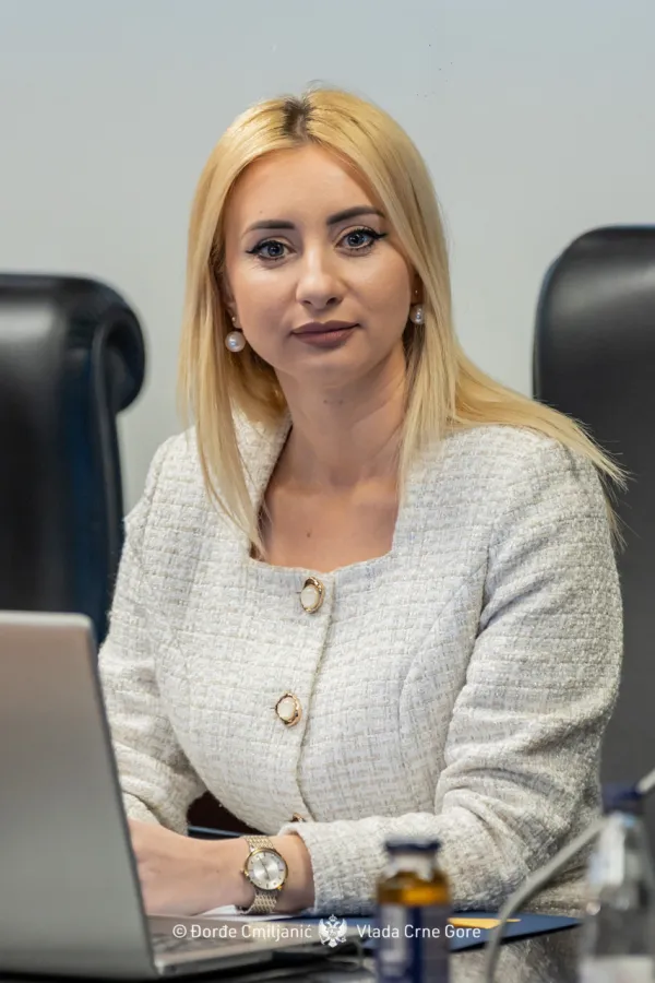 Gorčević: Nije pitanje ko će Vencijanskoj komisiji poslati upit, već hoće li opozicija prihvatiti mi&scaron;ljenje