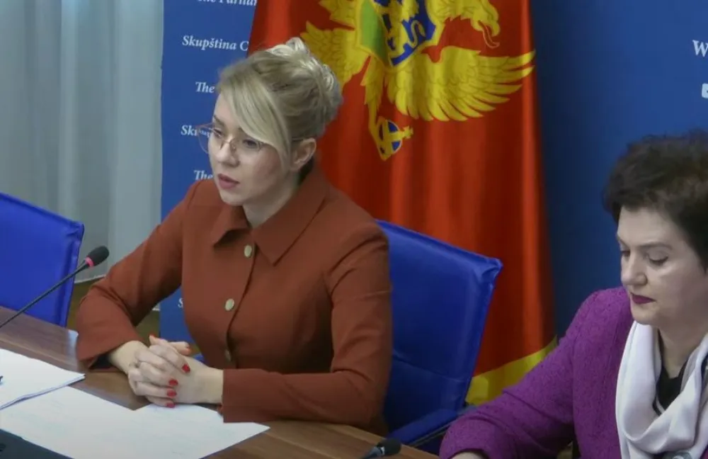 Sjednica Ustavnog odbora