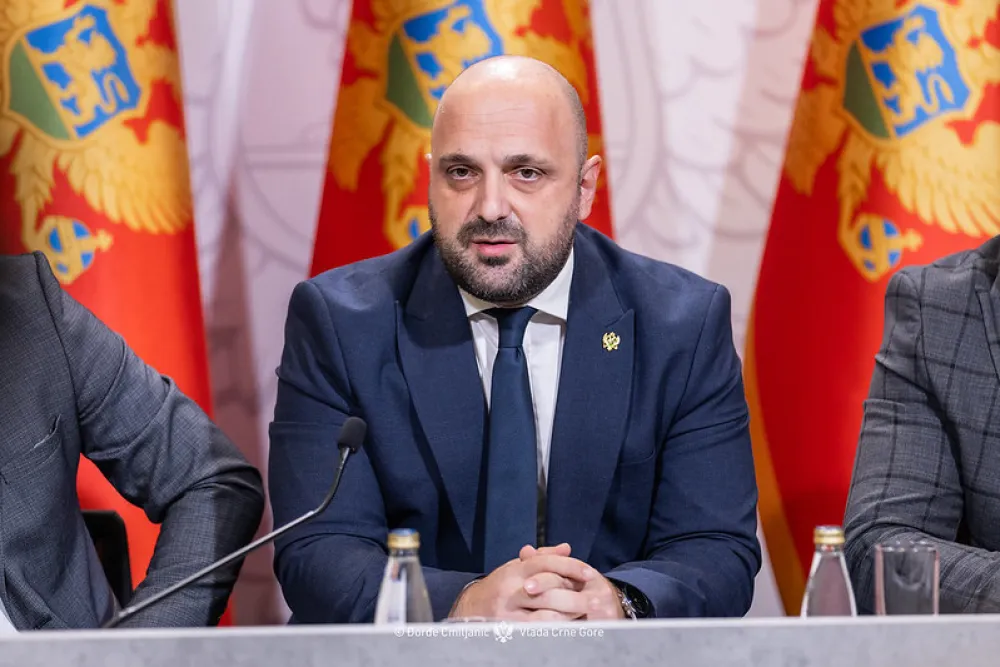 Božović: Krivični zakonik je jedan od najstrožih u Evropi