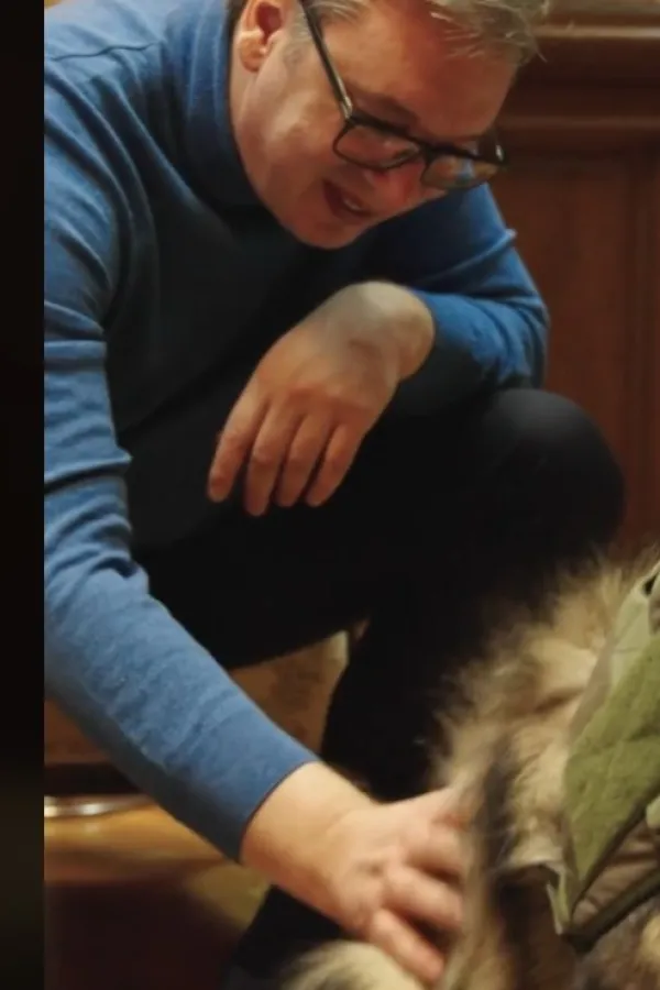 (VIDEO) Vučić objavio snimak sa psom: Ovo je moj čuvar