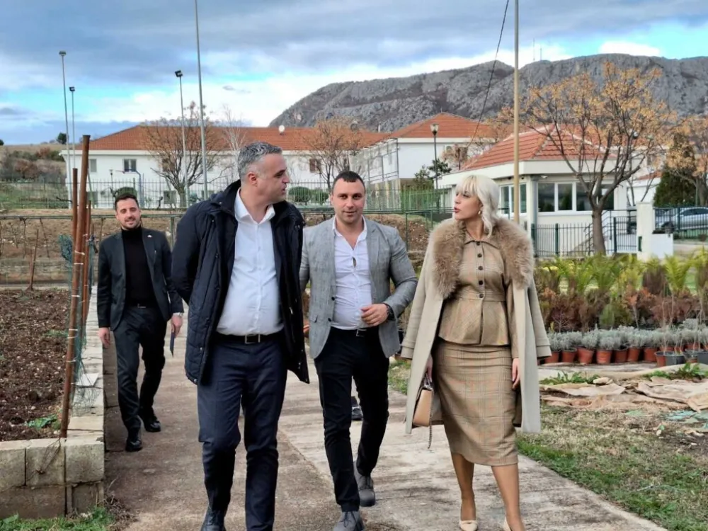 &Scaron;padijer, Čađenović i Ljiljanić 