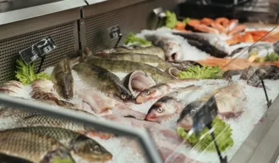 Ove vrste ribe snižavaju pritisak i holesterol