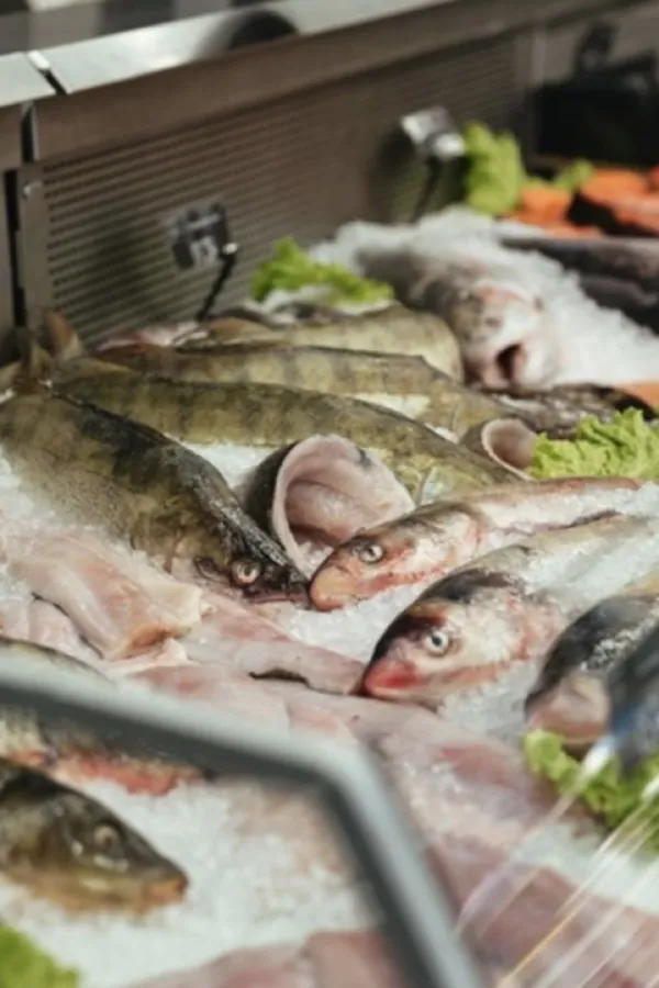 Ove vrste ribe snižavaju pritisak i holesterol