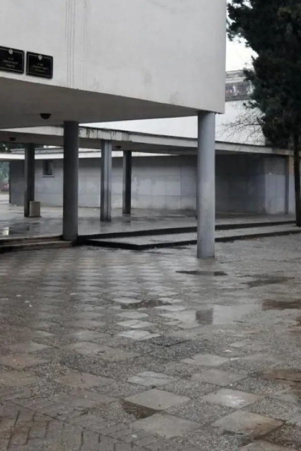 Vr&scaron;njačko nasilje sve če&scaron;će, posljedice sve teže