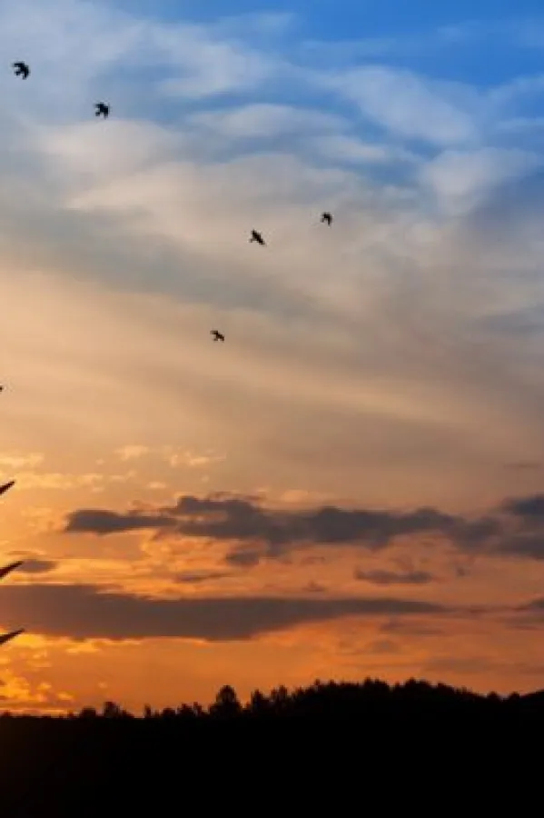 Iran testirao novu krstareću raketu dometa preko 1.000 kilometara