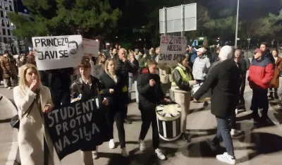 "Kamo sjutra" pravi buku