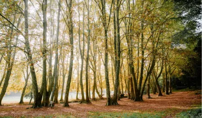 U prethodne tri godine sanirano 78 nelegalnih deponija