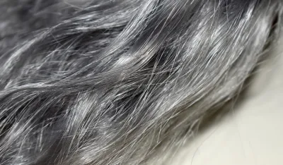 Naučnici otkrili kako možete da spriječite pojavu sijedih