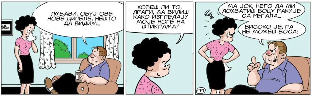 Mirko Zulić Strip Dana