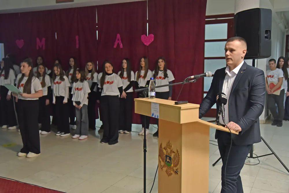 Mia Popovic humanitarno vece