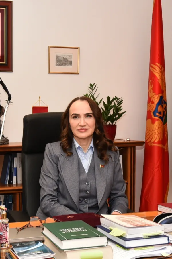 Predsjednica Apelacionog suda:&nbsp;Predmeti se gomilaju, a sudije nedostaju