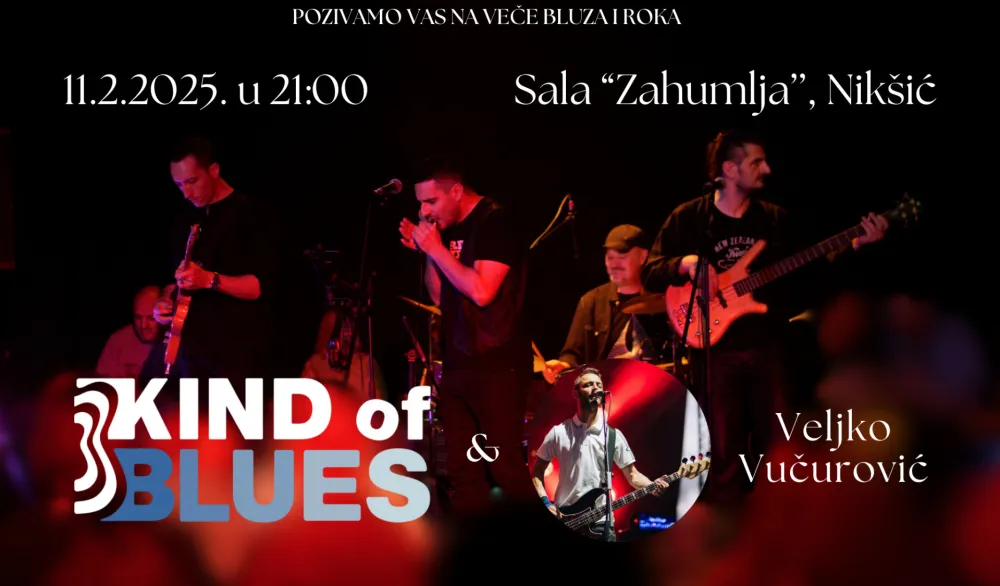 Veče bluza i roka