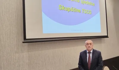 Dimitrije Ra&scaron;ović