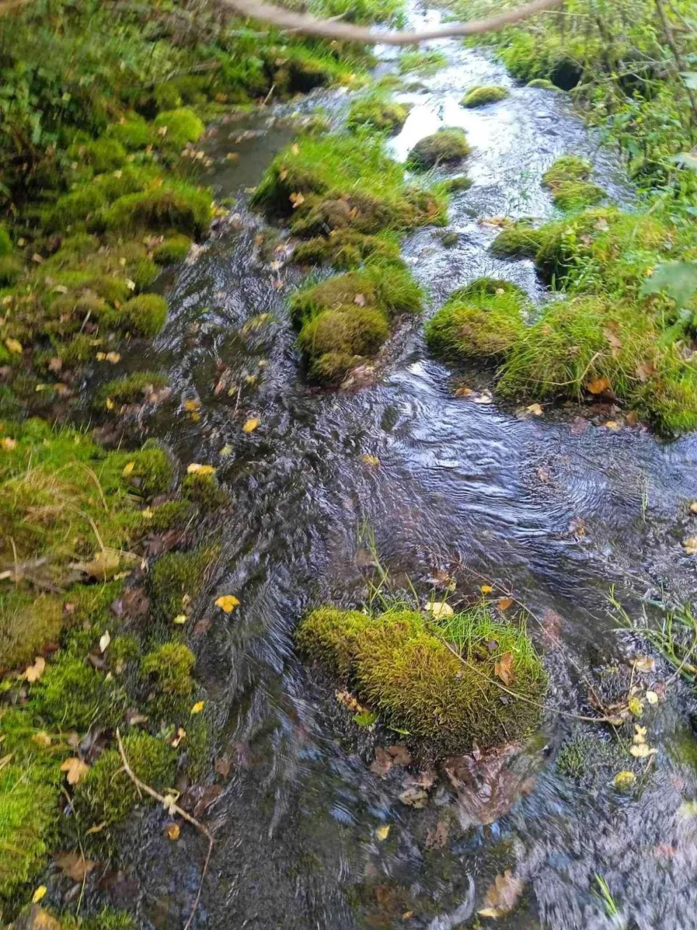 Mje&scaron;tani Police vjeruju da će ovog ljeta rije&scaron;iti pitanje vodosnabdijevanja: Zagradsko vrelo gasi žeđ u beranskoj žitnici