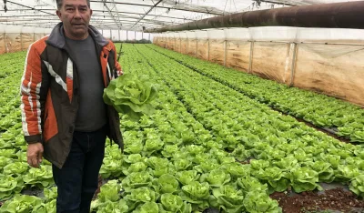 Zbog bojkota marketa, pijacu će preseliti ispred Vlade