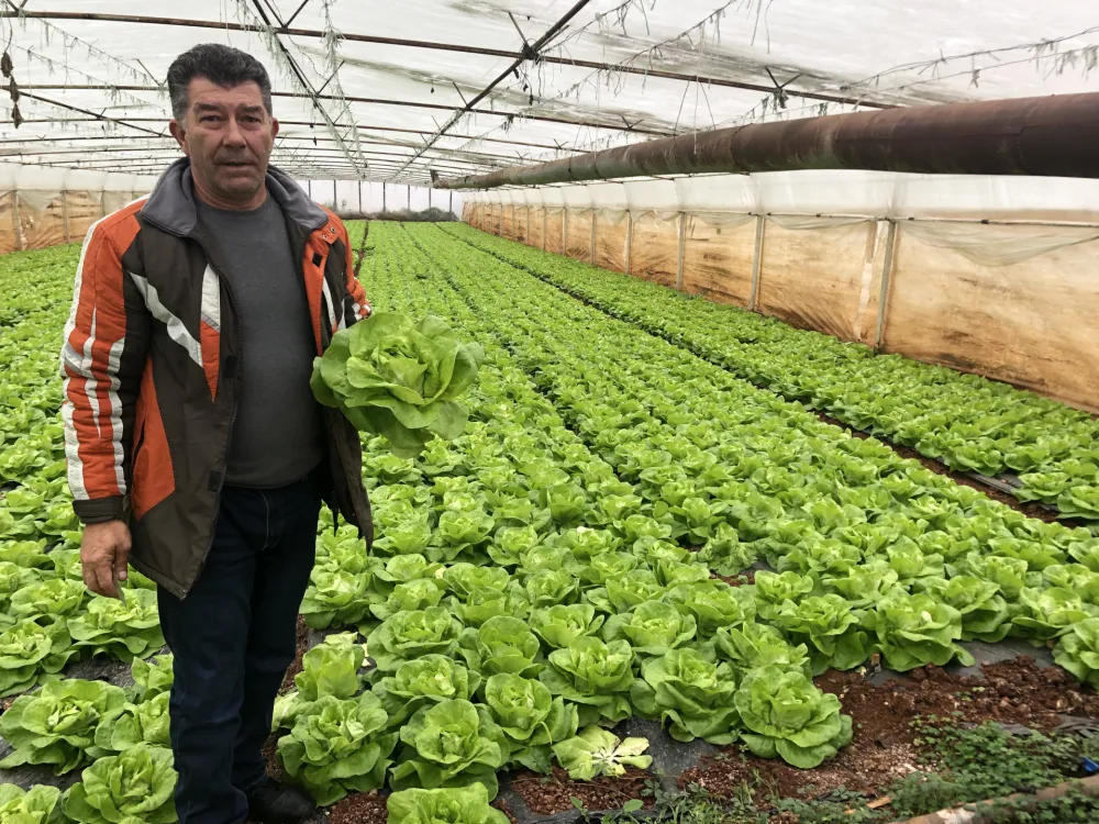 Zbog bojkota marketa, pijacu će preseliti ispred Vlade