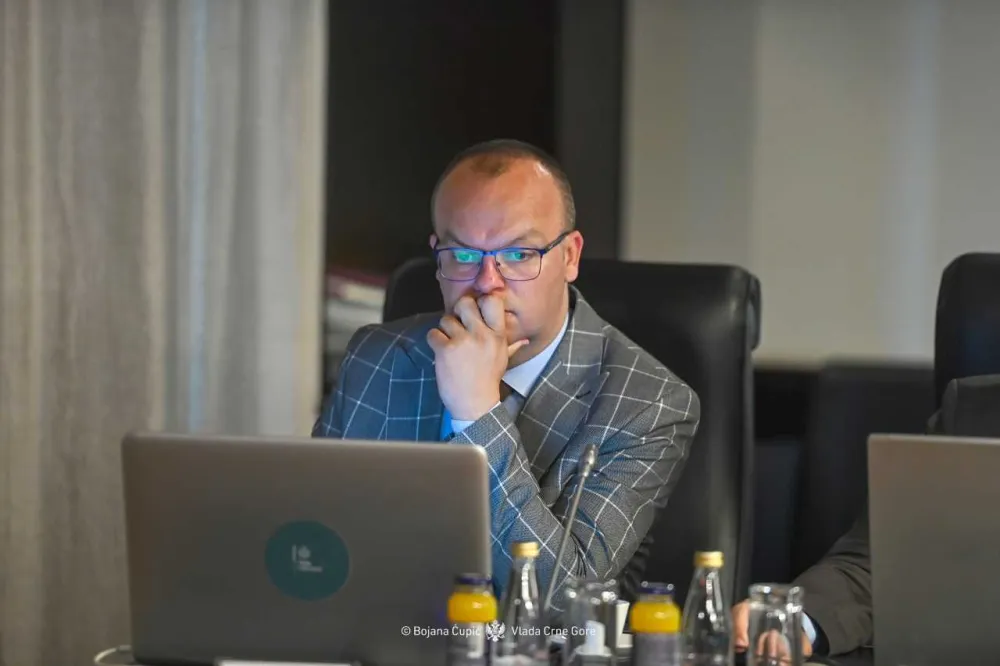 Usvojen ažurirani Nacionalni utvrđeni doprinos Crne Gore (NDC) za 2030. i 2035.&nbsp;