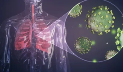 Otkrivena nova bakterija