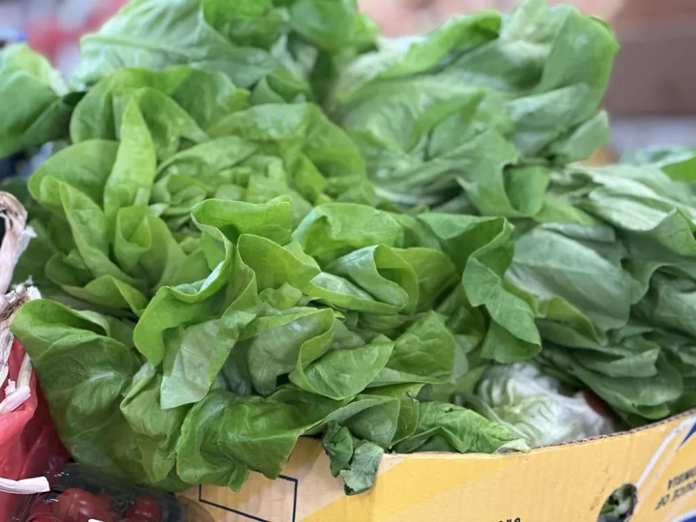 Kilogram salate ko&scaron;ta dva eura