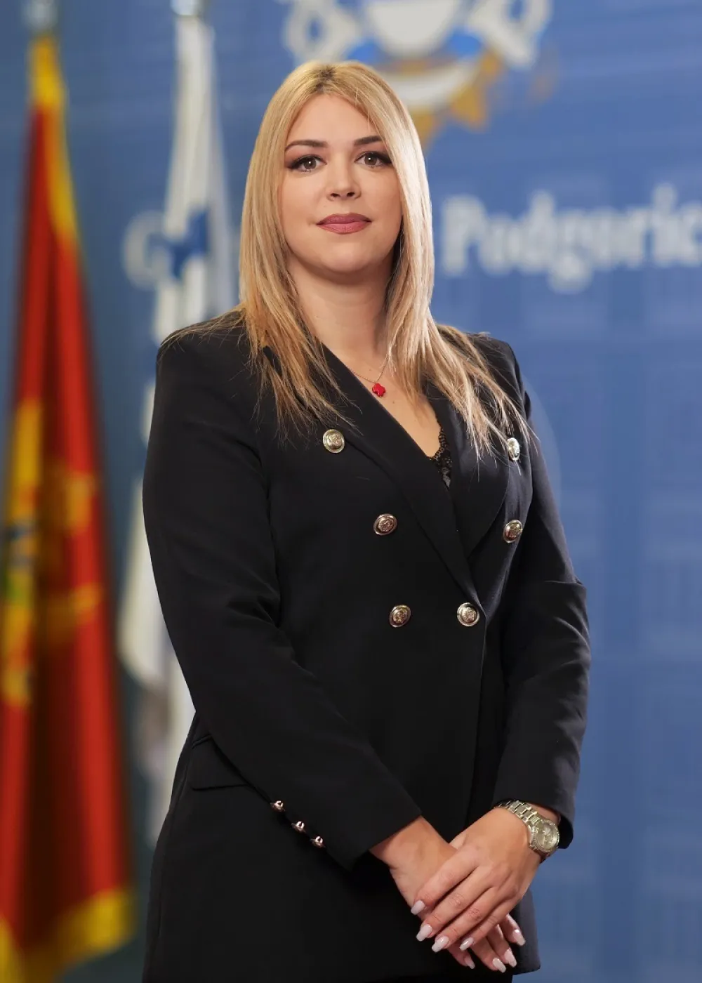 Rovčanin: Montesori kabinet donio bi napredak