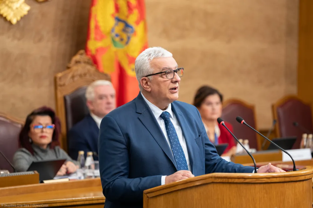 Andrija Mandić na Prvom zasjedanje Parlamenta za osobe sa invaliditetom