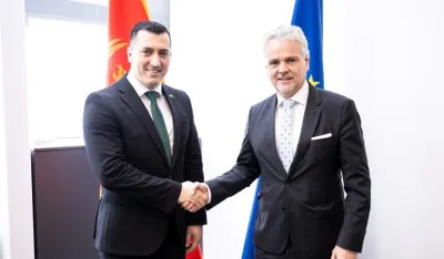 Suljević-Satler: Delegacija EU pomaže u saradnji državnih organa i NVO