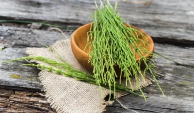 Čaj od rastavića pomaže kod upale be&scaron;ike i problema sa bubrezima