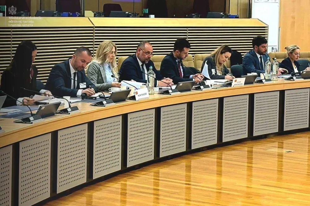 Vitomirović u Briselu:&nbsp;Ministarstvo aktivno radi na pristupanju LIFE programu Evropske unije