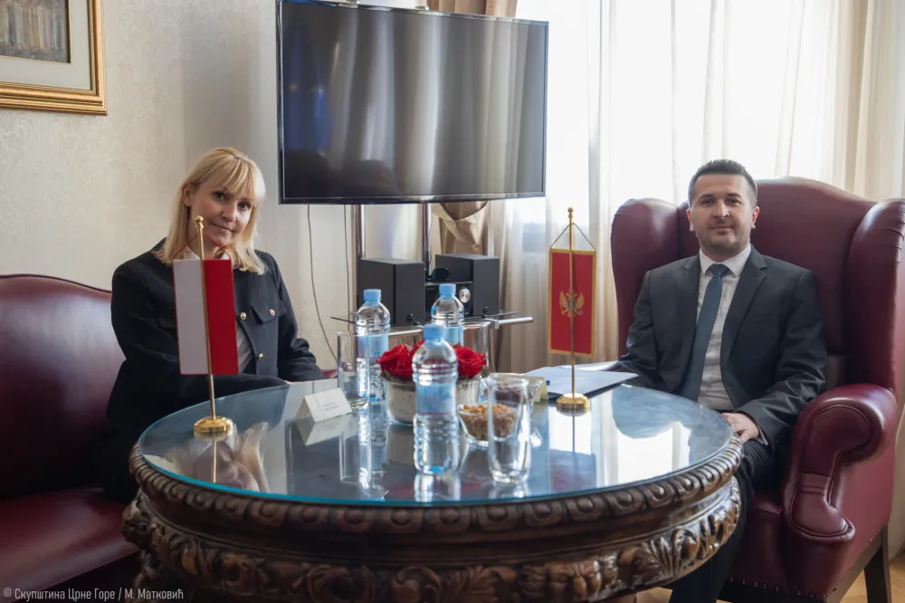 Pejović: Crna Gora može mnogo naučiti od Poljske