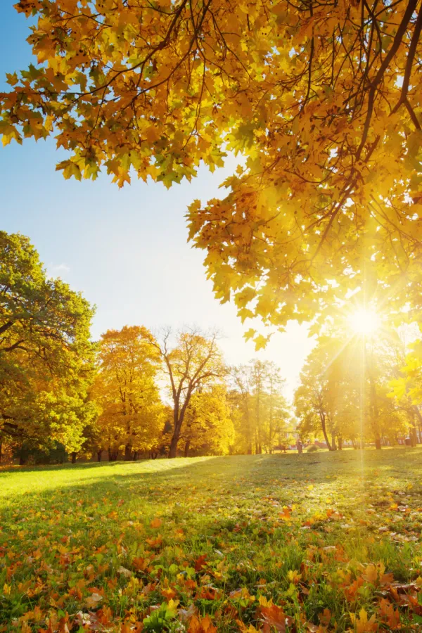 U subotu pretežno sunčano, tokom noći povećanje oblačnosti
