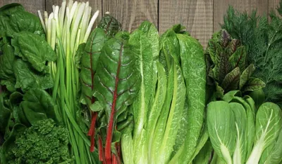 Najzdravije vrste lisnatog povrća