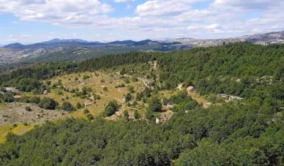 Spriječiti sječu vi&scaron;e od 20.000 kubika munike