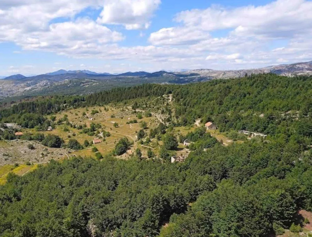 Spriječiti sječu vi&scaron;e od 20.000 kubika munike