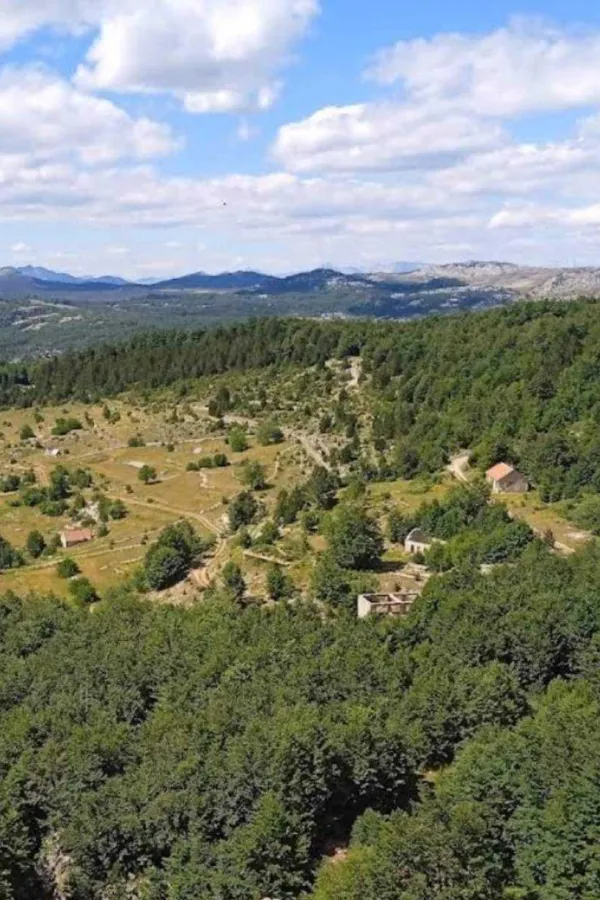 Spriječiti sječu vi&scaron;e od 20.000 kubika munike
