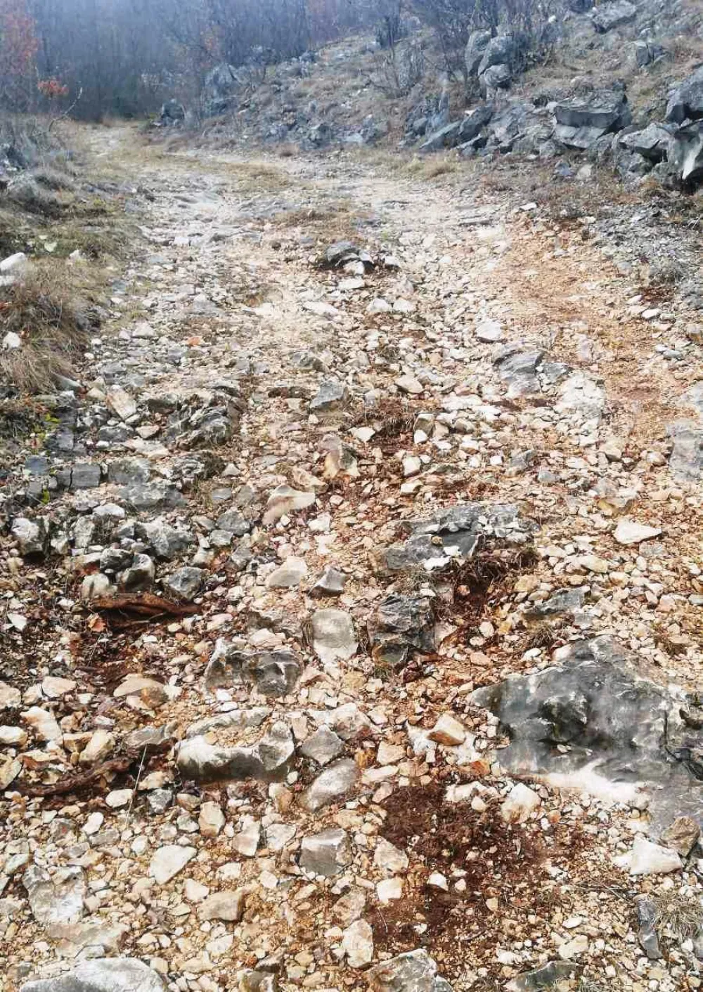 Mje&scaron;tani najavili blokadu magistrale Nik&scaron;ić-Vilusi: Zahtijevaju asfaltiranje 12 kilometara puta