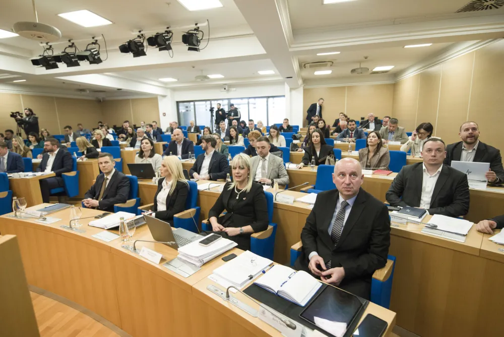 sjednica skupstine glavnog grada