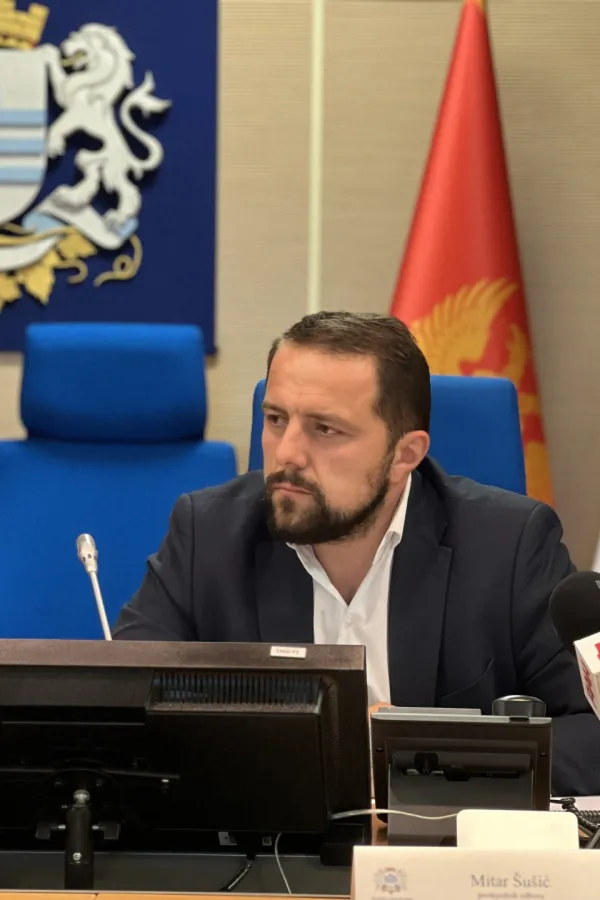 Mitar &Scaron;u&scaron;ić