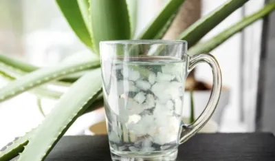 Aloja vera jača imunitet, hidrira, detoksikuje i čuva jetru