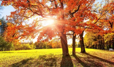 Danas sunčano, do 18 stepeni